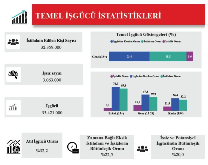 Temel İşgücü İstatistikleri (Nisan 2025, TÜİK Kaynaklı)